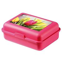 SCHOOL BOX 3